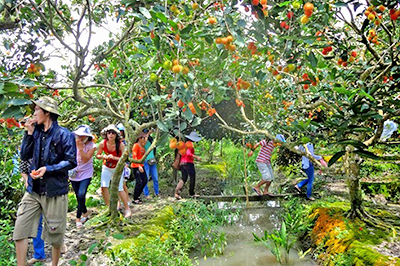 top-15-dia-diem-du-lich-can-tho-ban-nen-ghe-it-nhat-1-lan