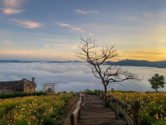 thue-xe-di-dien-di-da-lat-lich-trinh-3-ngay-2-dem-tiet-kiem-cho-moi-du-khach