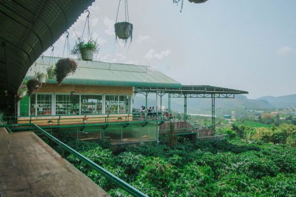top-quan-ca-phe-view-dep-o-da-lat-danh-cho-cac-tin-do-song-ao